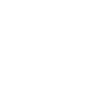 Hojin Paint